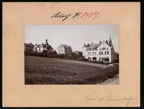 Fotografie Brück & Sohn Meissen, Ansicht Adorf i. V., Bismarckstrasse mit den Villen