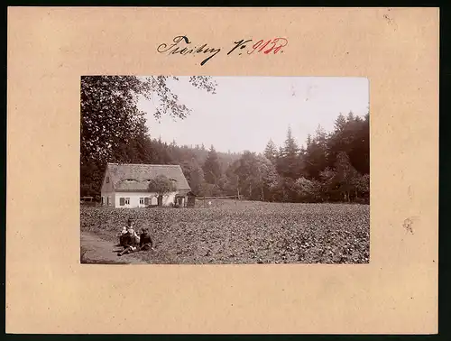 Fotografie Brück & Sohn Meissen, Ansicht Freiberg i. Sa., Partie am Rosinenhäuschen, Kinder sitzen auf dem Weg