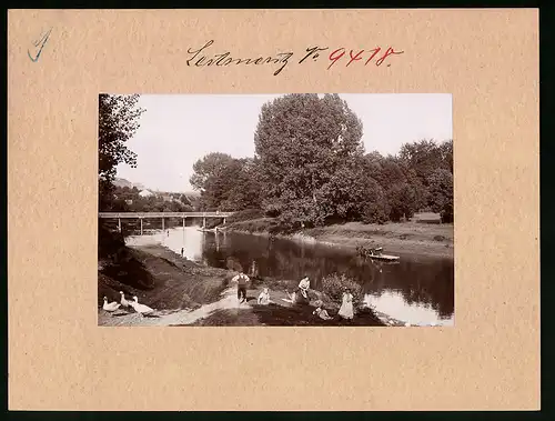 Fotografie Brück & Sohn Meissen, Ansicht Leitmeritz, Ländliches Idyll am Fluss, Waschfrauen Pferdekarren im Wasser