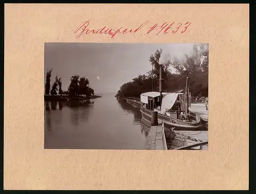 Fotografie Brück & Sohn Meissen, Ansicht Siofok, Dampfboot im Hafen mit Blick auf den Plattensee