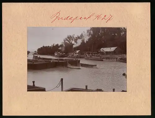 Fotografie Brück & Sohn Meissen, Ansicht Siofok, Ausflugsdampfer Kelen und weitere an der Anlegestelle am Plattensee