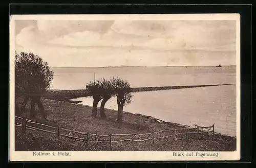 AK Kollmar i. Holst., Blick auf Pagensand