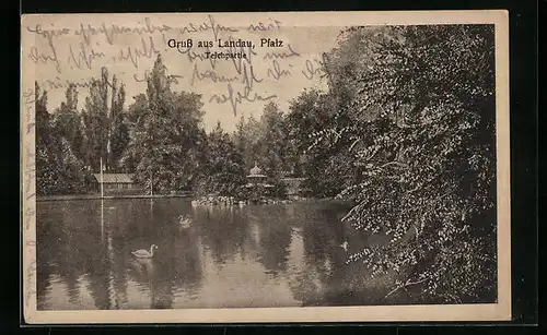 AK Landau /Pfalz, Teichpartie mit Schwan