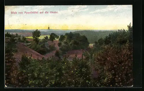 AK Appelbüttel, Blick vom Ort auf die Haake