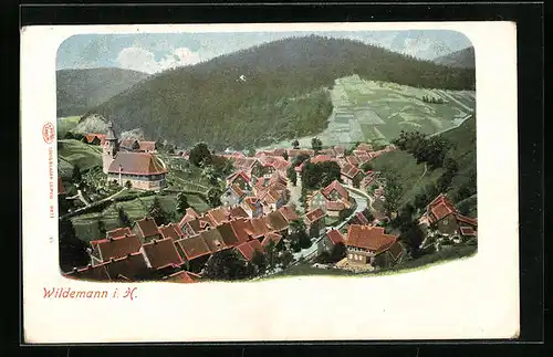 AK Wildemann i. H., Teilansicht mit Kirche