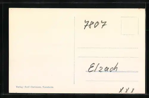 AK Elzach /Schwarzwald, Teilansicht mit Kirche