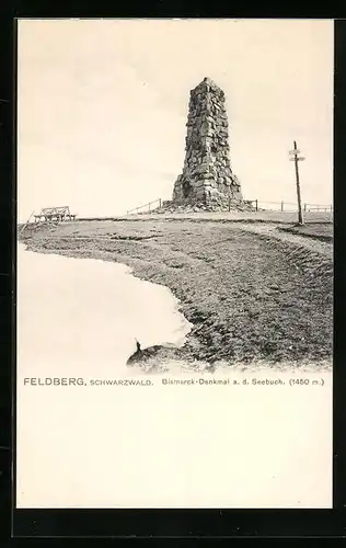 AK Feldberg /Schwarzw., Bismarckdenkmal a. d. Seebuch