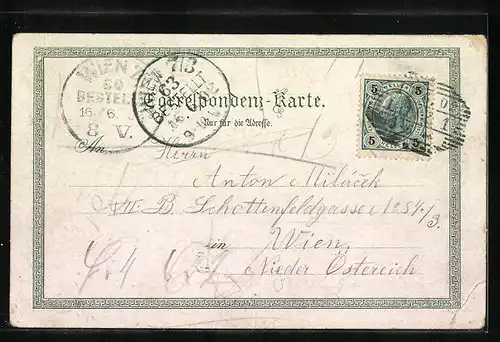 Lithographie Linz a. D., Brücke u. Urfahr, Volksgarten, Hauptplatz