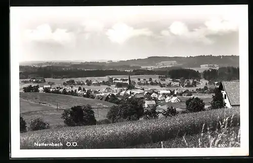 AK Natternbach, Totalansicht mit Getreidefeld