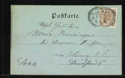 Mondschein-AK Linz, Totalansicht bei Nacht