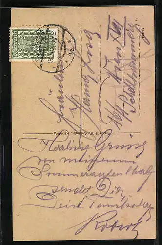 AK Schärding, Ortsansicht, Inn aus der Vogelschau von Wernstein bis Obernberg