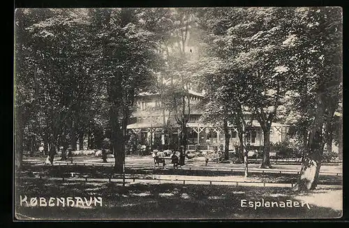 AK Kobenhavn, Esplanaden