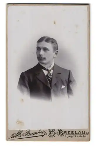 Fotografie Alb. Bamberg, Breslau, Moltkestr. 14, Portrait junger charmanter Mann mit Schnurrbart im Jackett