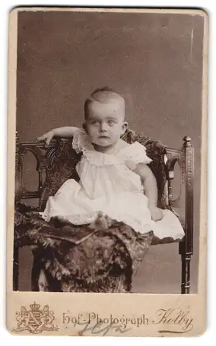 Fotografie Atelier Kolby, Zwickau i. S., Äuss. Plauensche Strasse, Portrait süsses Baby im weissen Kleidchen