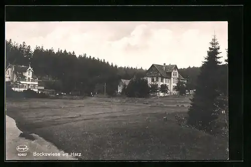 AK Bockswiese im Harz, am Landhaus vor dem Walde