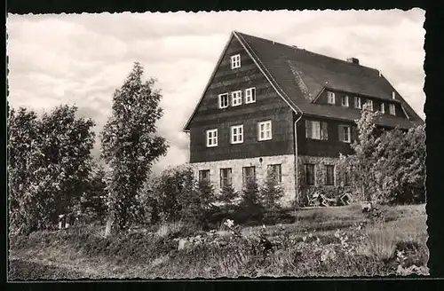 AK Waldidylle im Erzgeb., am Haus Falkenhorst