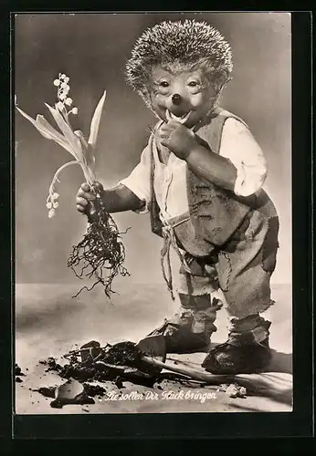 AK Mecki zupft eine Blume heraus, die ihm Glück bringen soll