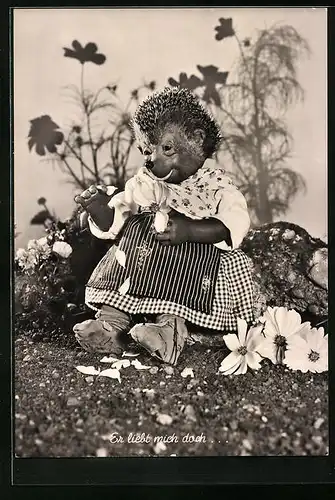 AK Mecki zupft Blütenblätter in Gedanken an den Liebsten