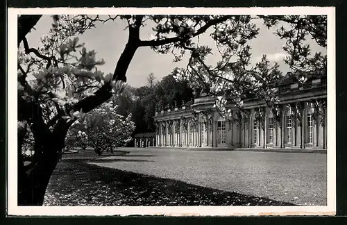 AK Potsdam, Schloss Sanssouci, Gartenansicht