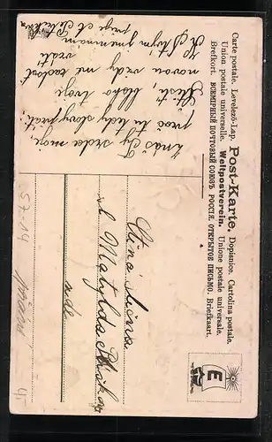 Präge-AK Srdecne Prani, Veilchenstängel mit Blüten