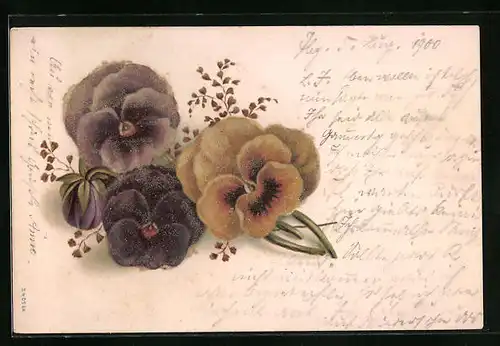 Präge-Lithographie Stiefmütterchen, gelbe und lilafarbene Blüten