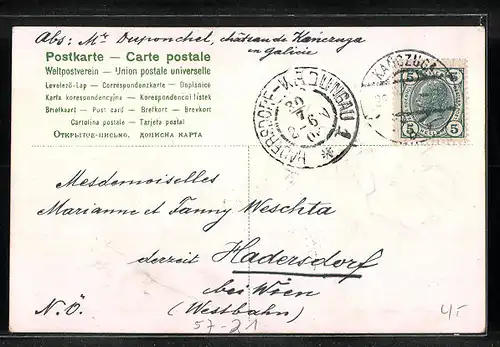 Präge-Lithographie Stiefmütterchen, in voller Blüte gesehen