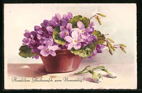 Lithographie Veilchen im Topf, Glückwünsche zum Namenstag