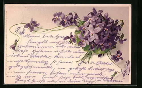 Lithographie Veilchen lilafarben, zum Strauss gebunden