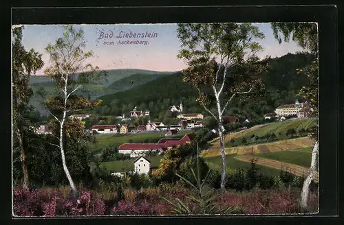 AK Bad Liebenstein, Panorama vom Aschenberg