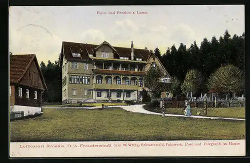 AK Kniebis / Schwarzwald, Hotel-Pension Zum Lamm