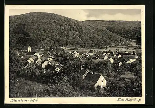 AK Birresborn / Eifel, Totale vom Berg aus gesehen