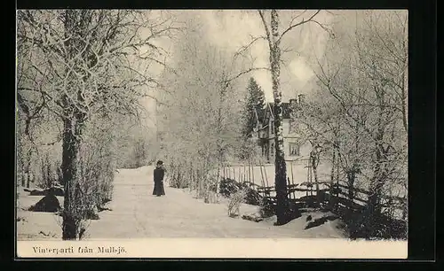 AK Mullsjö, Vinterparti
