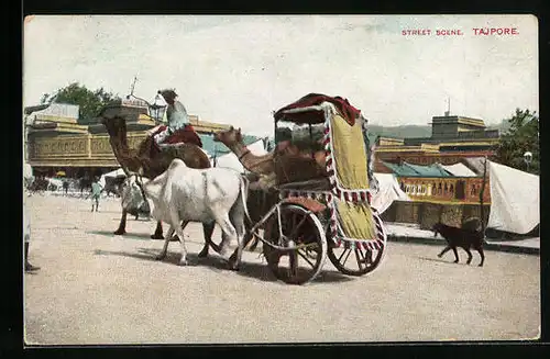 AK Tajpore, Street Scene, Kamele und Rinderwagen