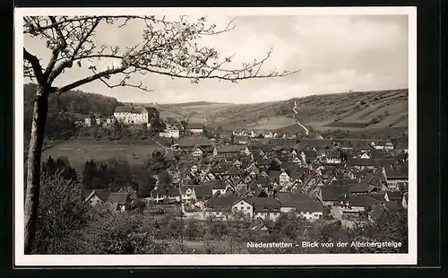 AK Niederstetten, Blick von der Alterbergsteige