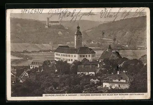 AK Gundelsheim a. Neckar, Schloss Hornegg mit Blick auf Schloss Guttenberg