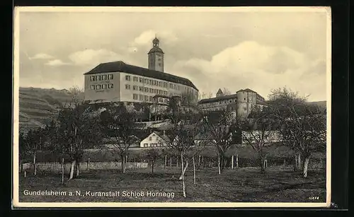 AK Gundelsheim a. N., Kuranstalt Schloss Hornegg