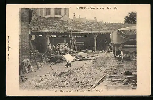 AK Mamers, Catastrophe du 7 Juin 1904, Chevaux noyés à la Scierie, Rue du Hupry