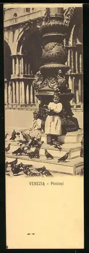 Mini-AK Venezia, Piccioni