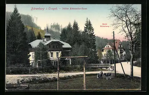 AK Bärenburg i. Erzgeb., Hotel Bärenburg und Julius Alexander-Haus