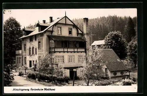 AK Hirschsprung, das Ferienheim Waldhaus