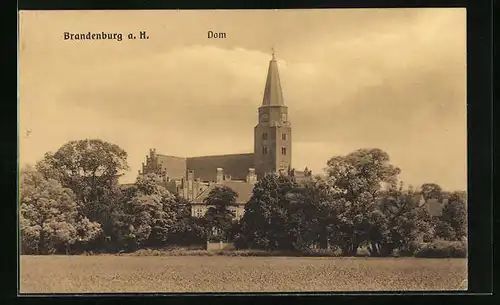 AK Brandenburg / Havel, Blick zum Dom