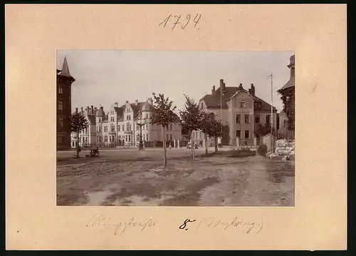Fotografie Brück & Sohn Meissen, Ansicht Torgau, Blick auf den Ringstrasse (Westring) mit Wohnhäusern