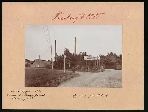 Fotografie Brück & Sohn Meissen, Ansicht Freiberg i. Sa., am Eingang zur Chemischen Dünge Fabrik A. Schippan & Co.