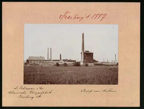 Fotografie Brück & Sohn Meissen, Ansicht Freiberg i. Sa., Chemische Düngerfabrik A. Schippan & Co., Werksansicht