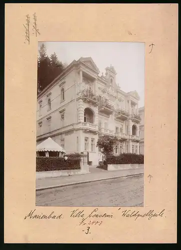 Fotografie Brück & Sohn Meissen, Ansicht Marienbad, Blick auf die Villa Souvenier in der Waldquellzeile