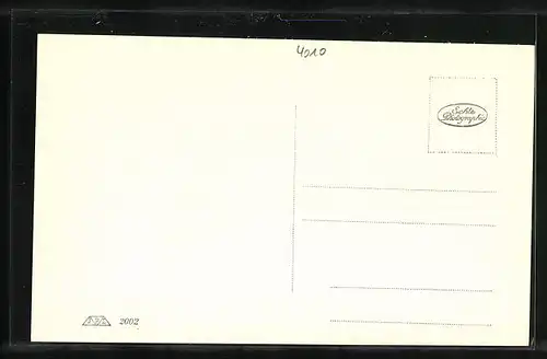 AK Linz a. D., Ortsansicht mit Maria Empfängnis-Dom