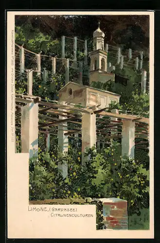 Künstler-AK Limone /Gardasee, Citronenculturen und Kirchlein
