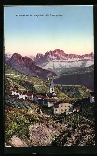 AK St. Magdalena, Ortsansicht mit Weinstöcken vor dem Rosengarten