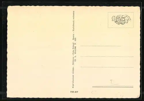 AK Meran, Laubengasse mit Passanten