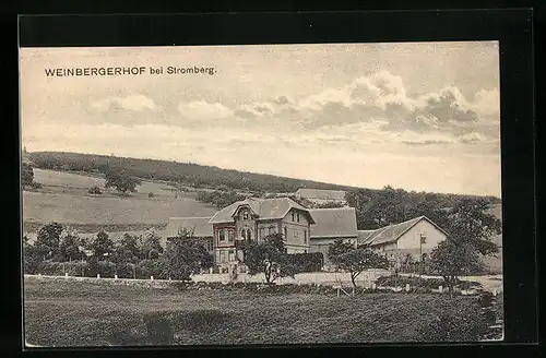 AK Weinbergerhof /Stromberg, Strassenpartie mit dem Hof